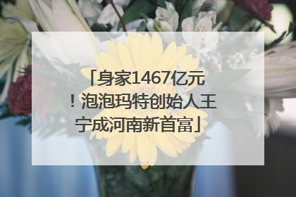 身家1467亿元！泡泡玛特创始人王宁成河南新首富