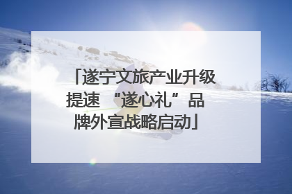 遂宁文旅产业升级提速 “遂心礼”品牌外宣战略启动