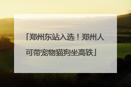 郑州东站入选！郑州人可带宠物猫狗坐高铁