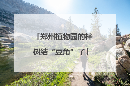 郑州植物园的梓树结“豆角”了
