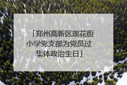 郑州高新区莲花街小学党支部为党员过集体政治生日