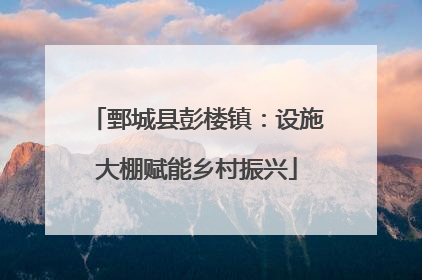 鄄城县彭楼镇：设施大棚赋能乡村振兴