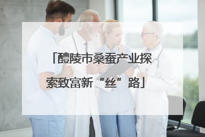 醴陵市桑蚕产业探索致富新“丝”路