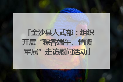 金沙县人武部：组织开展“粽香端午、情暖军属”走访慰问活动