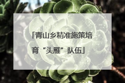 青山乡精准施策培育“头雁”队伍