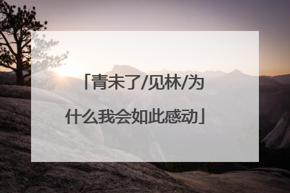 青未了/见林/为什么我会如此感动