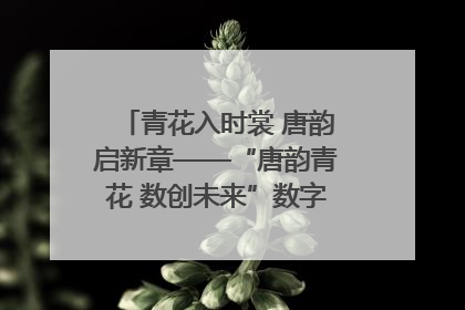 青花入时裳 唐韵启新章——“唐韵青花 数创未来”数字文创设计大赛启幕