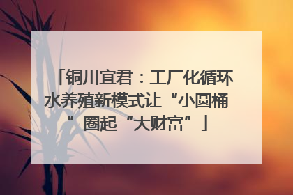 铜川宜君：工厂化循环水养殖新模式让“小圆桶”圈起“大财富”