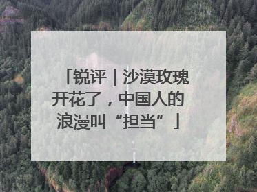 锐评｜沙漠玫瑰开花了，中国人的浪漫叫“担当”