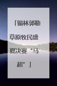 锡林郭勒草原牧民盛夏决赛“马超”