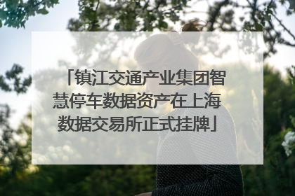 镇江交通产业集团智慧停车数据资产在上海数据交易所正式挂牌