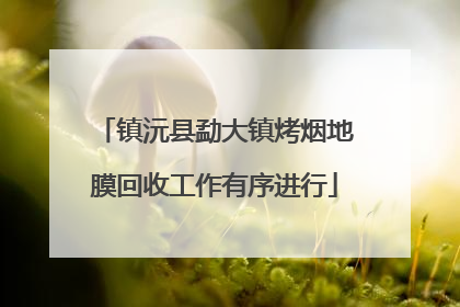 镇沅县勐大镇烤烟地膜回收工作有序进行