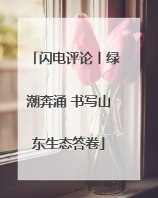 闪电评论丨绿潮奔涌 书写山东生态答卷