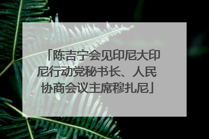 陈吉宁会见印尼大印尼行动党秘书长、人民协商会议主席穆扎尼