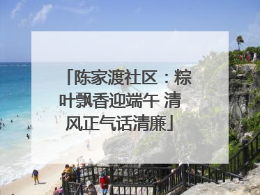 陈家渡社区：粽叶飘香迎端午 清风正气话清廉