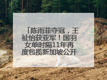 陈雨菲夺冠，王祉怡获亚军！国羽女单时隔11年再度包揽新加坡公开赛冠、亚军