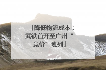 降低物流成本：武铁首开至广州“竞价”班列