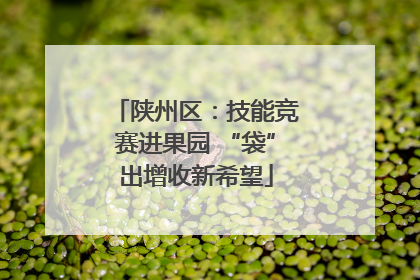 陕州区：技能竞赛进果园 “袋”出增收新希望