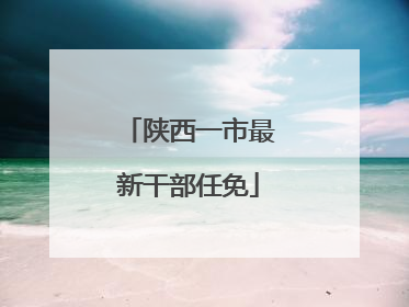 陕西一市最新干部任免