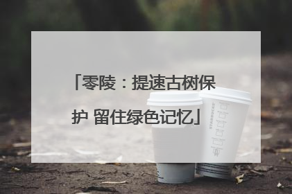 零陵：提速古树保护 留住绿色记忆