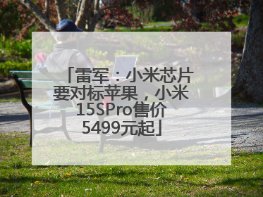 雷军：小米芯片要对标苹果，小米15SPro售价5499元起