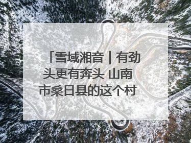 雪域湘音｜有劲头更有奔头 山南市桑日县的这个村落迎来蜕变