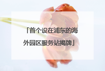 首个设在浦东的海外园区服务站揭牌