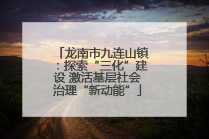 龙南市九连山镇：探索“三化”建设 激活基层社会治理“新动能”