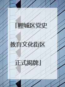 鲤城区党史教育文化街区正式揭牌