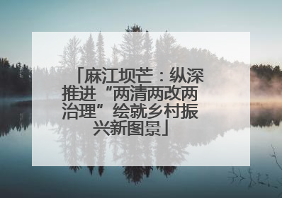 麻江坝芒：纵深推进“两清两改两治理”绘就乡村振兴新图景