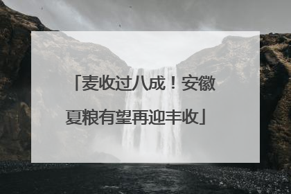 麦收过八成！安徽夏粮有望再迎丰收