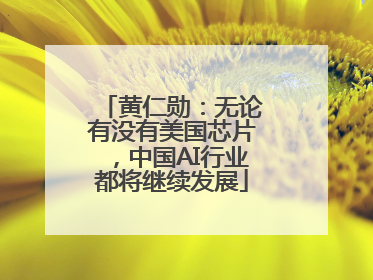 黄仁勋：无论有没有美国芯片，中国AI行业都将继续发展