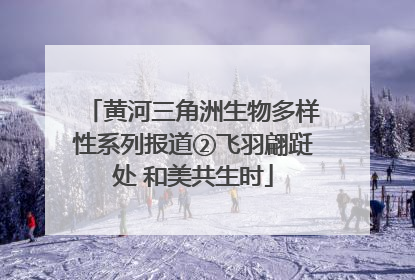 黄河三角洲生物多样性系列报道②飞羽翩跹处 和美共生时