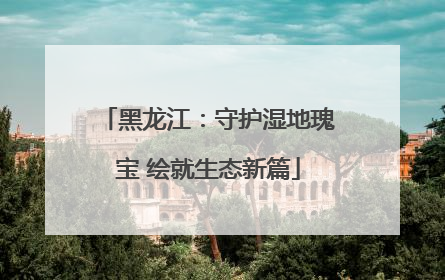 黑龙江：守护湿地瑰宝 绘就生态新篇