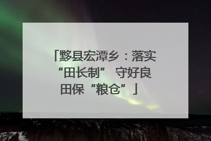 黟县宏潭乡：落实“田长制” 守好良田保“粮仓”