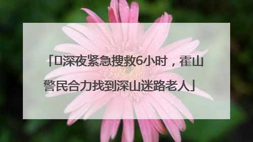 ﻿深夜紧急搜救6小时，霍山警民合力找到深山迷路老人