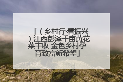 （乡村行·看振兴）江西彭泽千亩黄花菜丰收 金色乡村孕育致富新希望