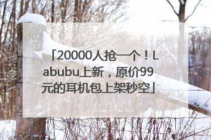 20000人抢一个！Labubu上新，原价99元的耳机包上架秒空