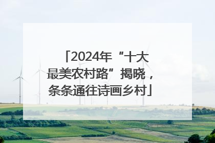 2024年“十大最美农村路”揭晓，条条通往诗画乡村