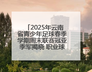 2025年云南省青少年足球春季学期周末联赛冠亚季军揭晓 职业球星与足球小将共享荣耀时刻