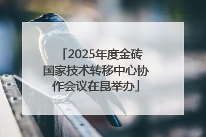 2025年度金砖国家技术转移中心协作会议在昆举办