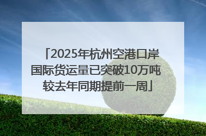 2025年杭州空港口岸国际货运量已突破10万吨 较去年同期提前一周