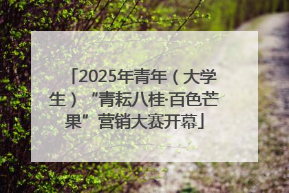 2025年青年（大学生）“青耘八桂·百色芒果”营销大赛开幕
