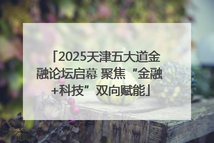 2025天津五大道金融论坛启幕 聚焦“金融+科技”双向赋能