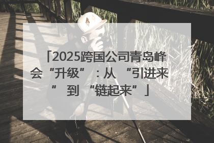 2025跨国公司青岛峰会“升级”：从 “引进来” 到 “链起来”