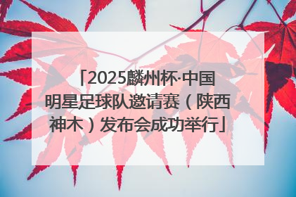 2025麟州杯·中国明星足球队邀请赛（陕西神木）发布会成功举行