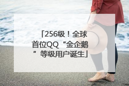 256级！全球首位QQ“金企鹅”等级用户诞生