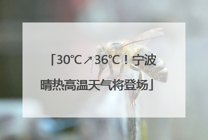 30℃↗36℃！宁波晴热高温天气将登场