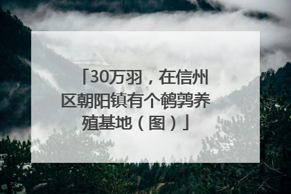 30万羽，在信州区朝阳镇有个鹌鹑养殖基地（图）
