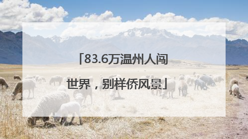 83.6万温州人闯世界，别样侨风景